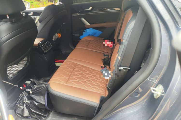 Used BYD Tang New Energy 2023 DM-i Champion Edition 112KM Prestige Model Left Rear Seat