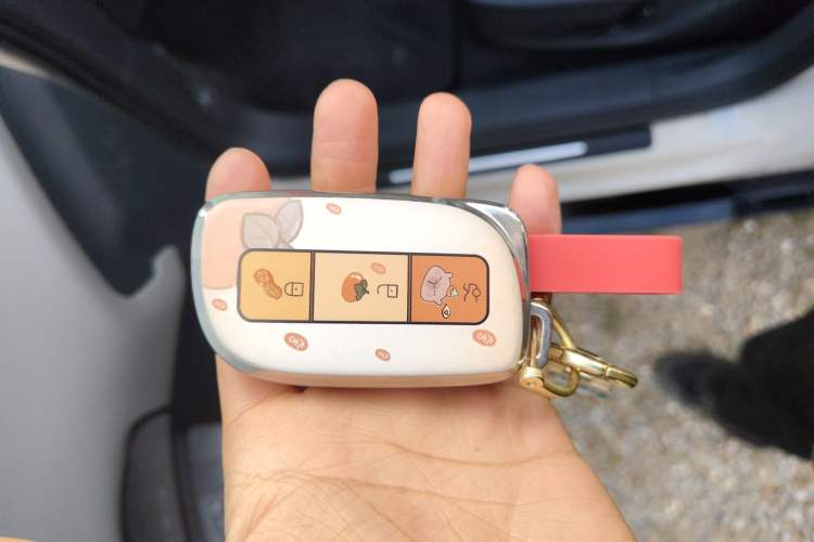 Used Lynk & Co Z20 2025 530 km Range Rear-Wheel Drive Max Vehicle Key