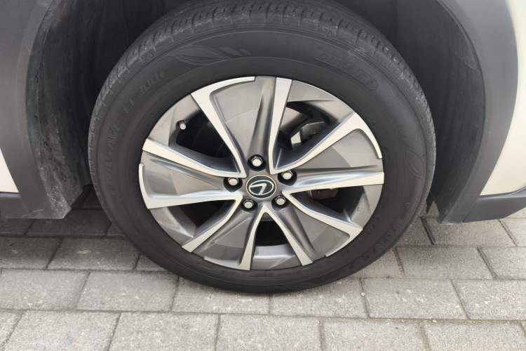 Used Lexus UX New Energy 2020 300e Pure·Joy Edition