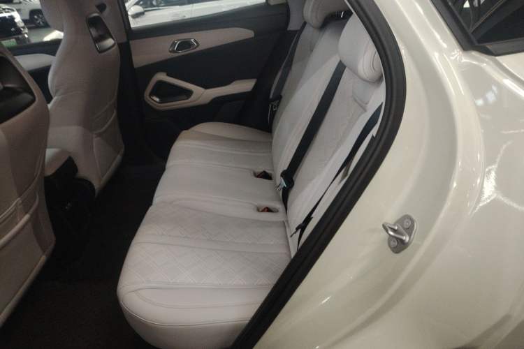 Used BYD Yuan UP 2024 401 km Active Version Left Rear Seat