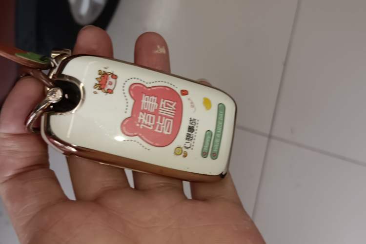 Used Roewe RX5 2016 20T Two-Wheel Drive Automatic Flagship Edition Vehicle Key