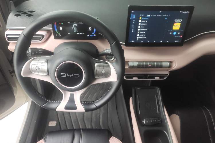 Used BYD Seagull 2024 Honor Edition 305km Freedom Version
