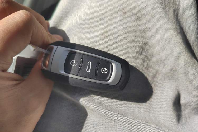 Used Geely Galaxy Panda 2024 Panda Mini 200km Endurance Bear