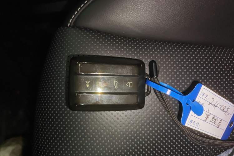 Used Tank 300 2024 2.0T Crosser