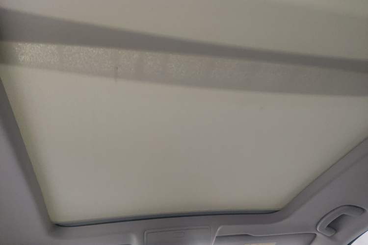 Used Volkswagen Tiguan L 2021 380TSI Automatic All-Wheel Drive R-Line Comfort Plus 7-Seater Headliner