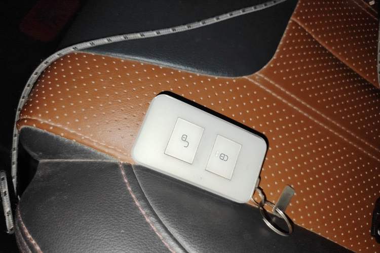 Used BYD Qin New Energy 2015 1.5T Dual-Crown Flagship Edition
