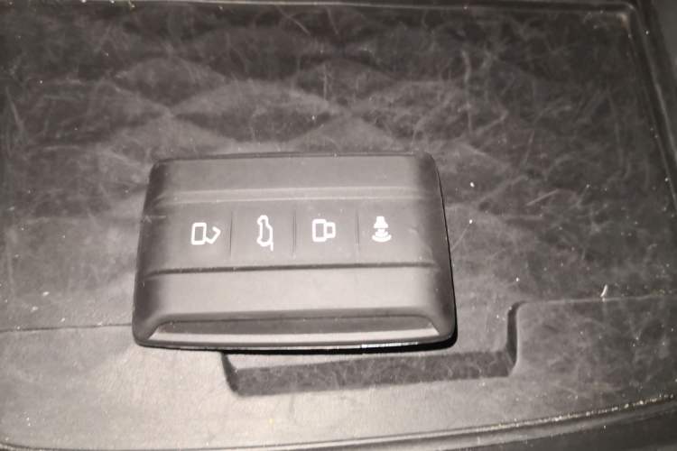 Used Tank 300 2022 2.0T Border Limited Edition Vehicle Key