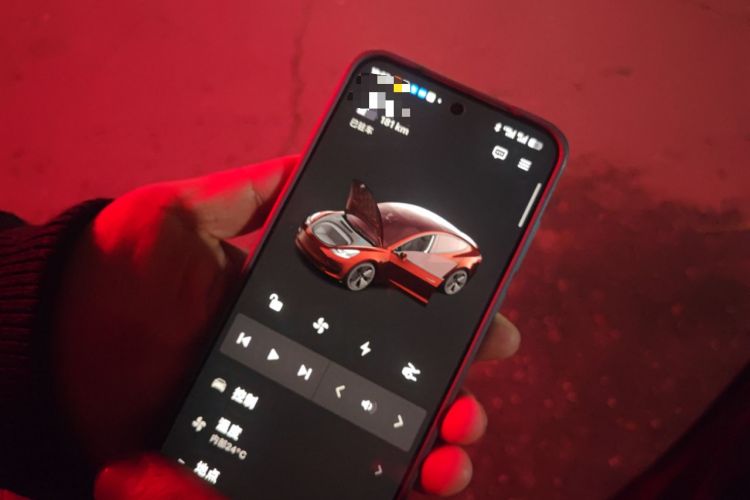 Used Tesla Model 3 2022 Rear-Wheel-Drive Version