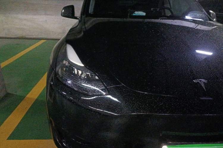 Used Tesla Model Y 2022 Rear-Wheel-Drive Version
