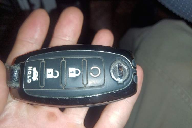 Used Nissan Sylphy 2022 1.6L XL CVT Enjoyment Edition
