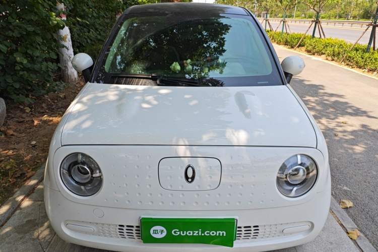 Used ORA Black Cat 2022 301km Base Version Ternary Lithium