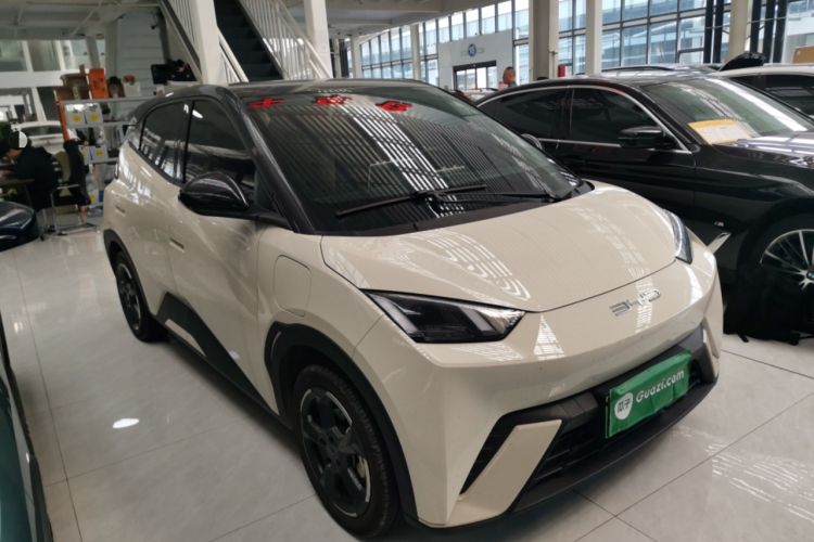 Used BYD Seagull 2023 Free Edition Front Right 45 Deg