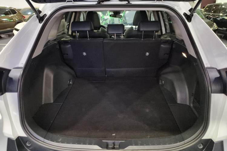 Used Toyota Wildlander 2023 2.0L CVT Four-Wheel Drive Luxury PLUS Edition