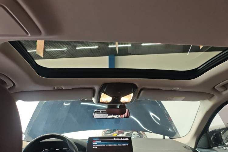 Used BMW 5 Series New Energy 2021 Updated 535Le Luxury Package Headliner