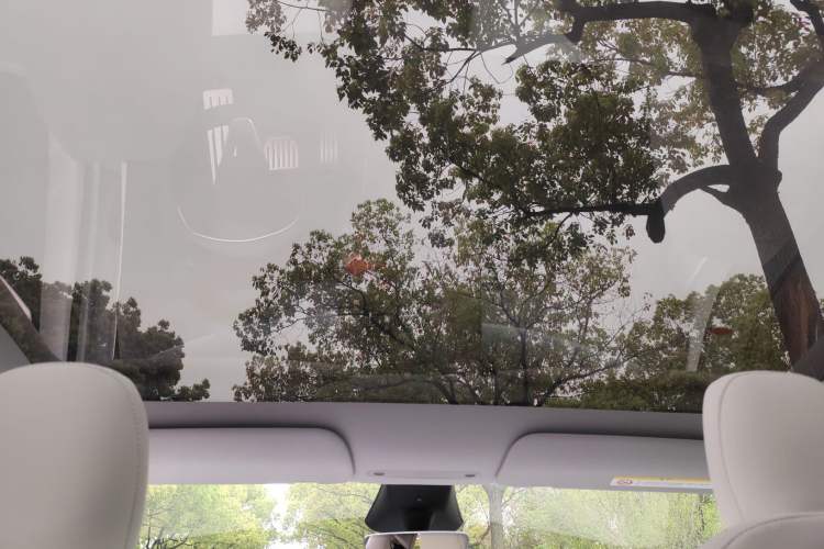 Used Tesla Model Y 2025 Rear-Wheel Drive First Edition Headliner