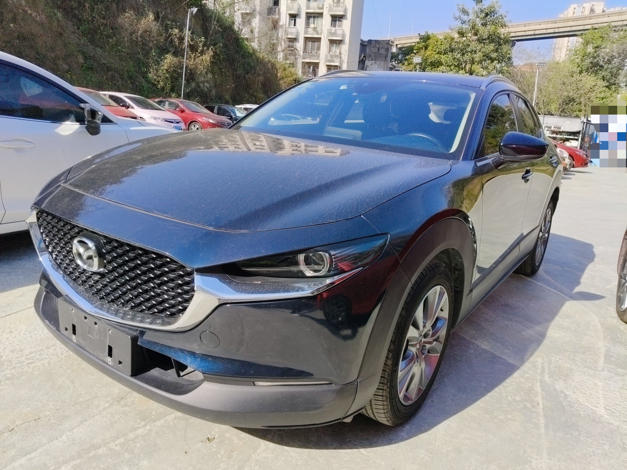 تحت مقدمة السيارة