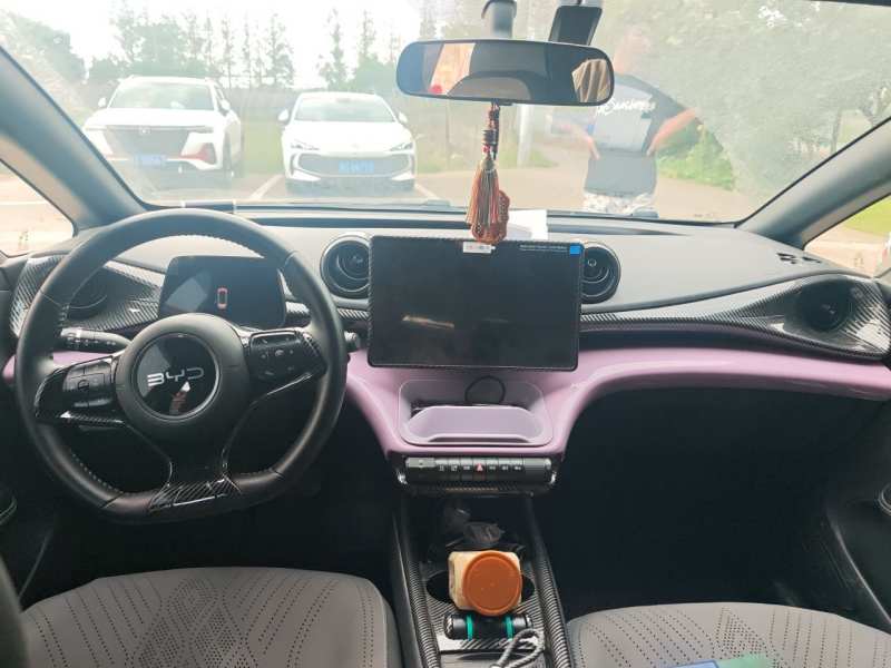 Used BYD Dolphin 2024 Honor Edition 420km Freedom Version — 5