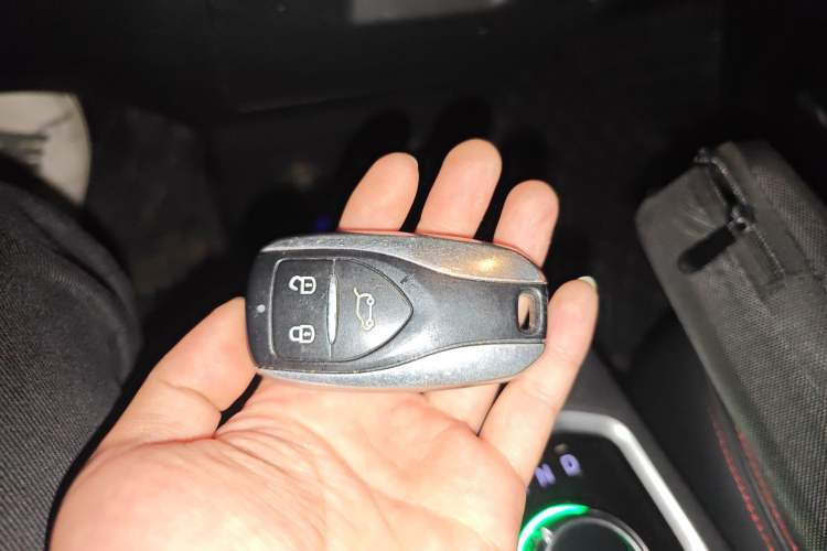 Used Dayun Yuehu 2021 32.85 kWh Two-Wheel-Drive Sprite Version Vehicle Key