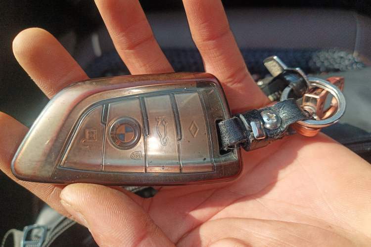 Used BMW 5 Series New Energy 2022 535Le Luxury Package