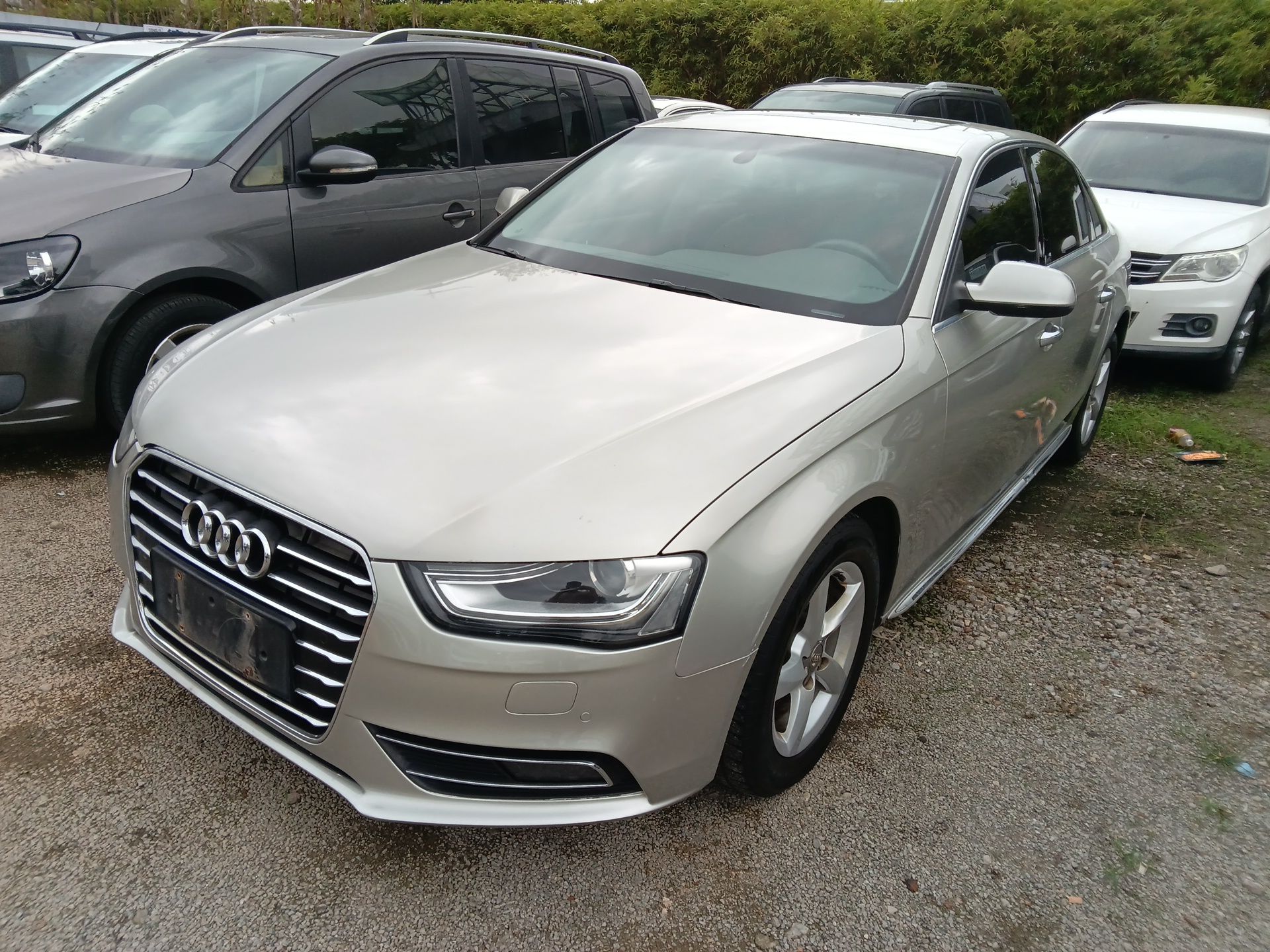 Parte inferior delantera