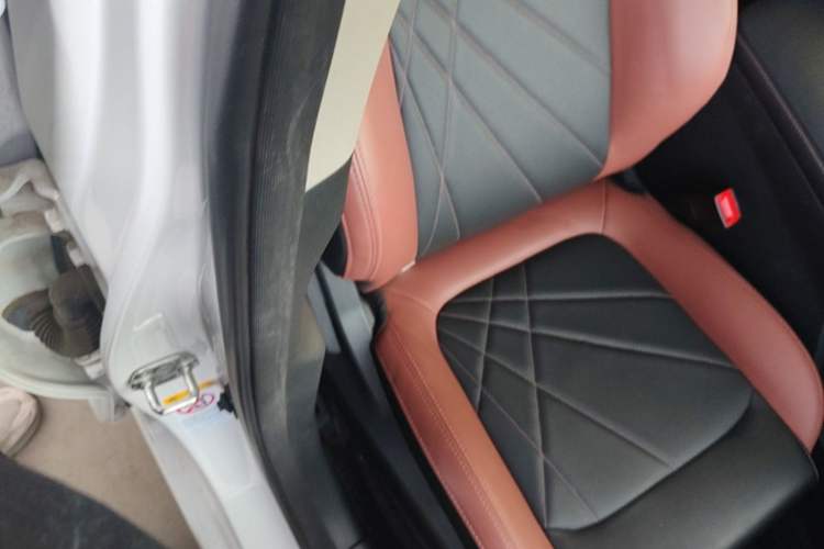 Used CHANGAN Eado 2022 PLUS Blue Whale NE 1.4T GDI DCT Prestige Edition Right Front Seat