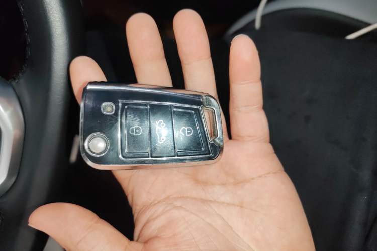 Used Volkswagen T-ROC 2023 300TSI DSG Two-Wheel-Drive Chen Guang Edition
