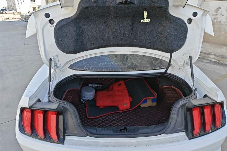 Used Ford Mustang  Trunk