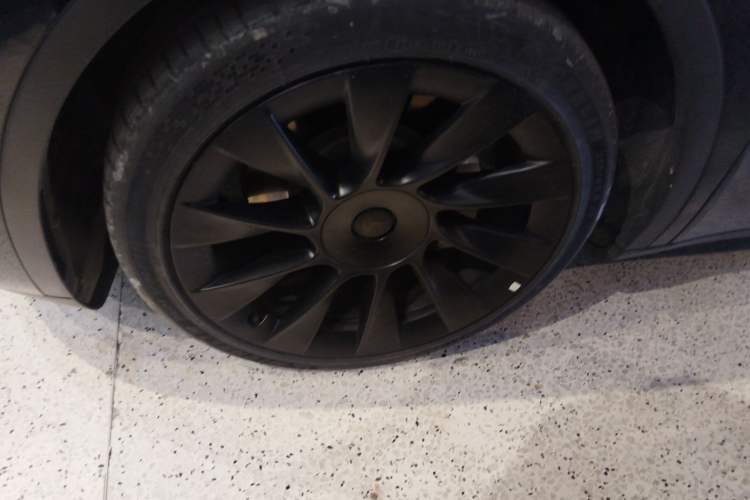 Used Tesla Model Y 2021 Standard Range Rear-Wheel Drive Version
