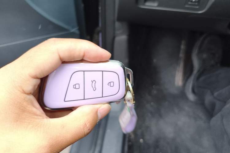 Used Chery QQ Little Ant 2024 Revised Edition Youth Version 321 km Only Love Edition 29.23 kWh
