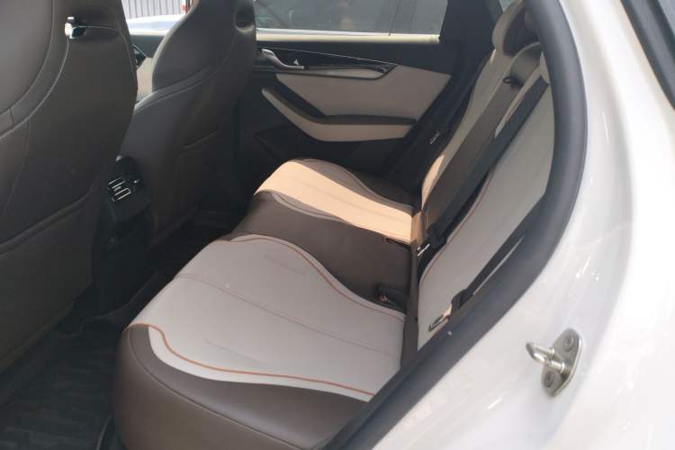 Used BYD Qin PLUS 2023 Champion Edition EV 510KM Leading Model Left Rear Seat