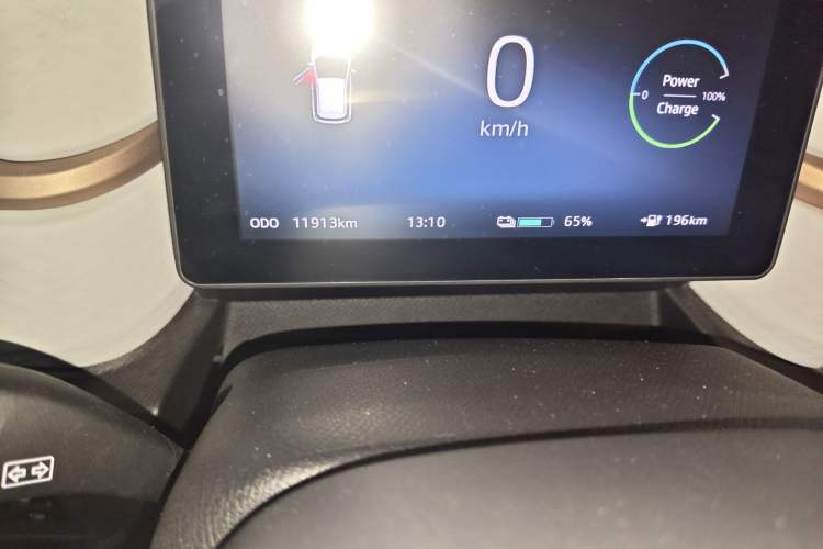 Used SOL E10X 2022 Flower Fairy Design Four-Leaf Clover