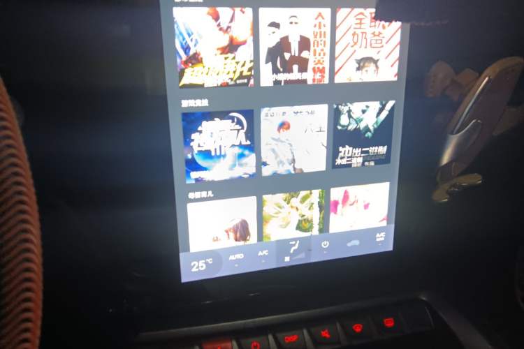 Used FORTHING T5 2020 1.5T Automatic Luxury Model China VI Standard Audio And AC Panel