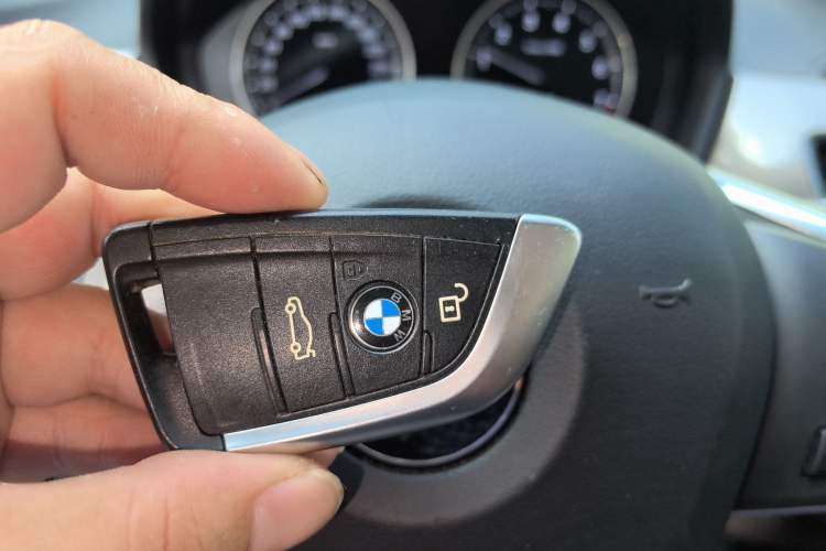 Used BMW X1 New Energy 2019 xDrive25Le Luxury Model