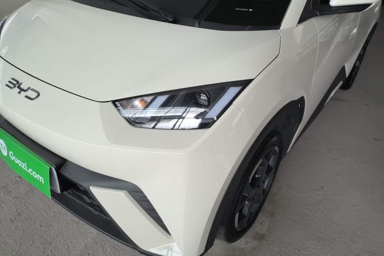 Used BYD Seagull 2025 305 km Free Version
