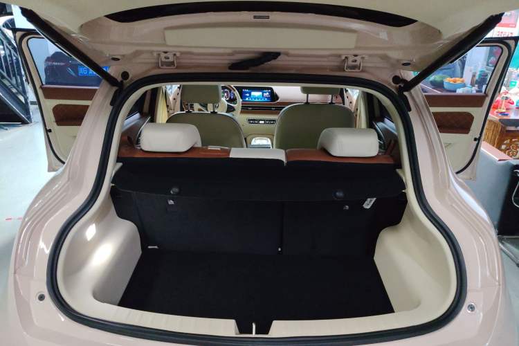 Used ORA Good Cat 2023 401 km Standard Range Premium Version Lithium Iron Phosphate Trunk