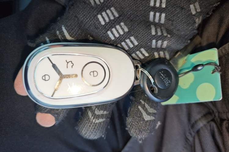 Used Geely Galaxy Geome 2025 310km Youth Edition
