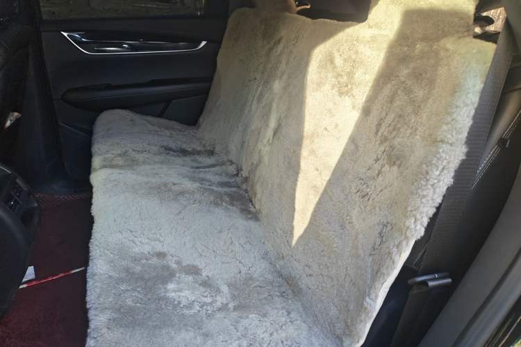 Used Cadillac XT5 2021 28T Four-Wheel Drive Luxury Version