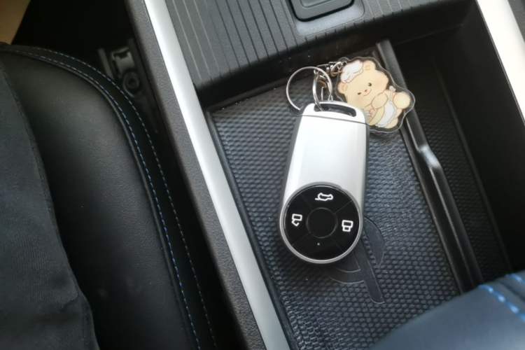 Used ORA Good Cat 2021 400km Standard Range Athena Edition Lithium-Ion Battery
