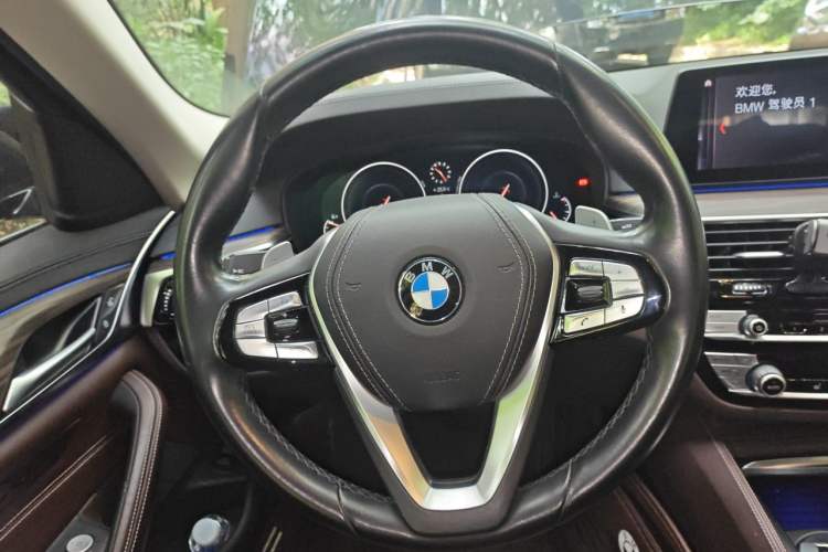 Used BMW 5 Series 2019 530Li Leading Model Luxury Package