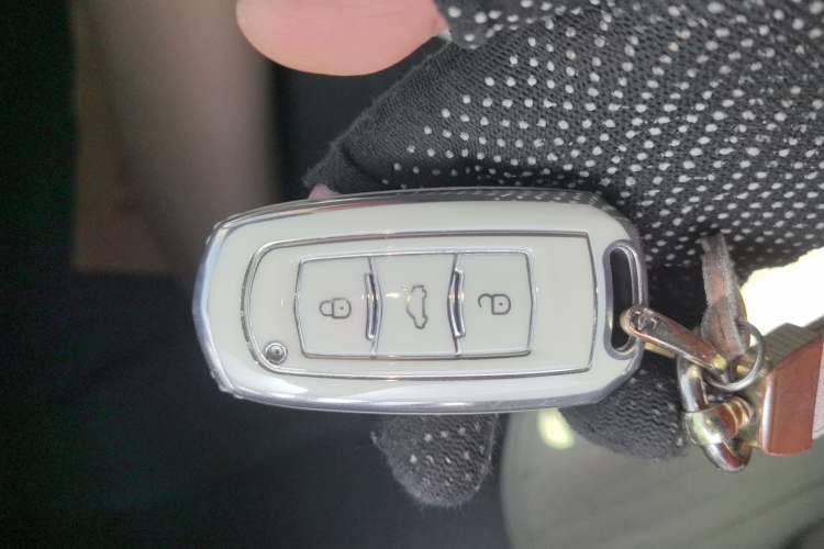 Used Geely Galaxy Panda 2023 Panda Mini 200km Endurance Bear