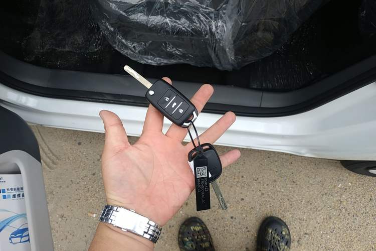 Used Changan Lumin 2025 205 km Xiangqin Version
