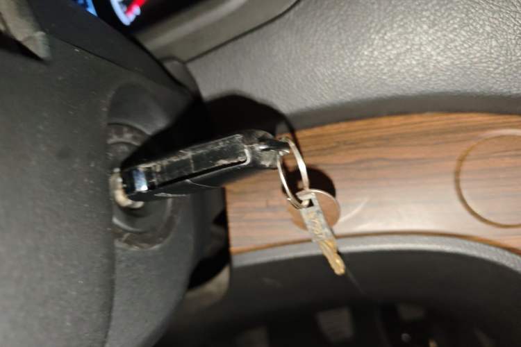 Used FORTHING Lingzhi PLUS 2021 Travel Edition 2.0L Manual Luxury 7-Seater
