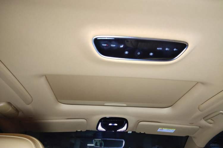 Used VOYAH Dream 2022 Low-Carbon Edition Dream+ Smart Enjoyment Package Headliner