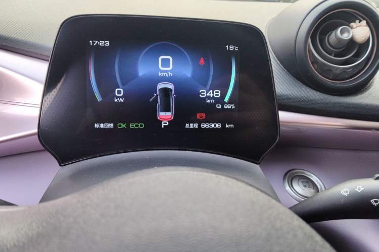 Used BYD Dolphin 2021 405 km Fashion Edition Odometer Close Up