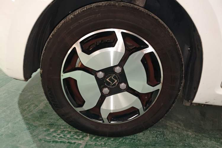 Used SOL E10X 2022 Flower Fairy Style Baby's Breath