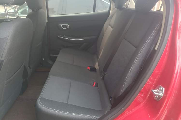 Used Dayun Yuehu 2022 300 Standard Edition Left Rear Seat
