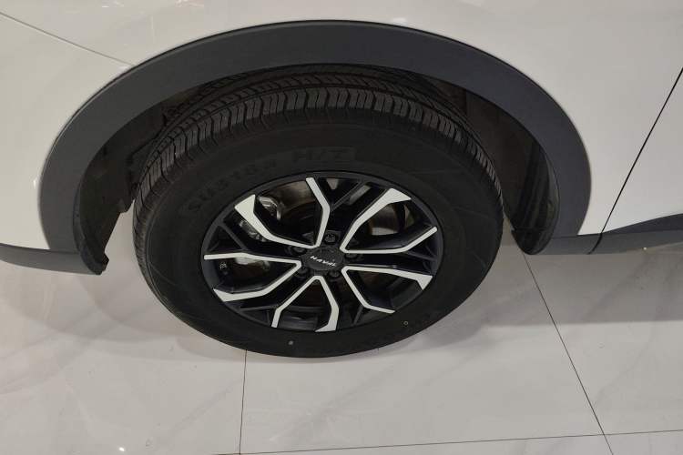 Used Haval H6 2023 National Trend Edition 1.5T Automatic Urban Version
