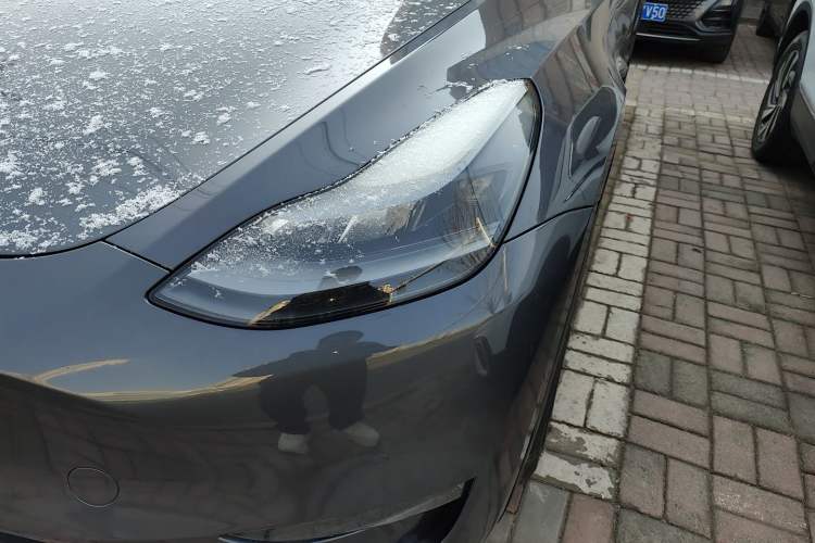 Used Tesla Model Y 2021 Standard Range Rear-Wheel Drive Version
