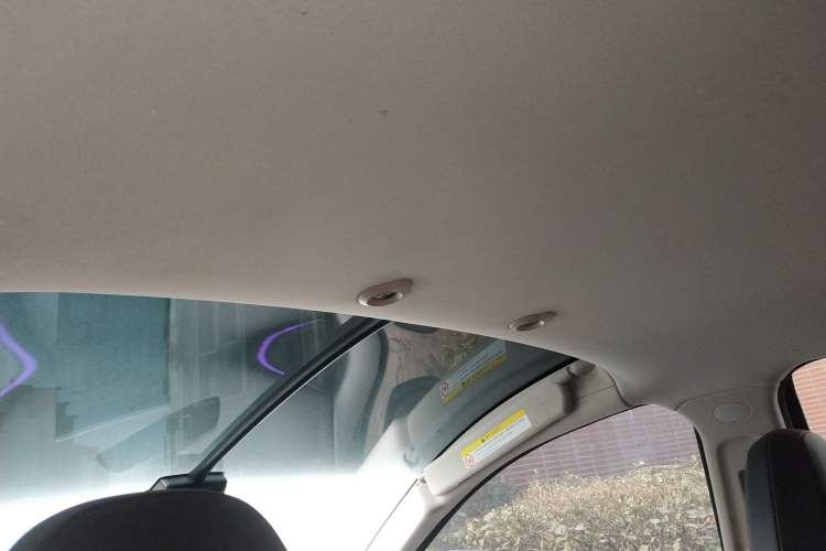 Used XPeng G3 2019 Enjoy Edition Headliner