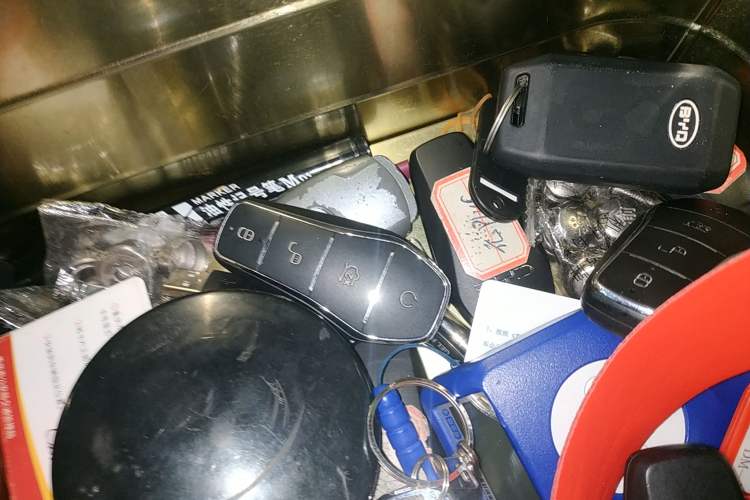 Used BYD Sealion 05 DM-i 2025 DM-i Smart Drive 115KM Flagship Model